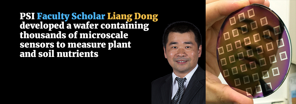 Dr. Liang Dong Developed Silicon Wafer Containing Thousands of Microscale Sensors to Measure Plant and Soil Nutrients